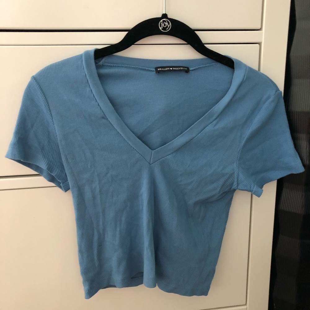 Brandy Melville Crop Top